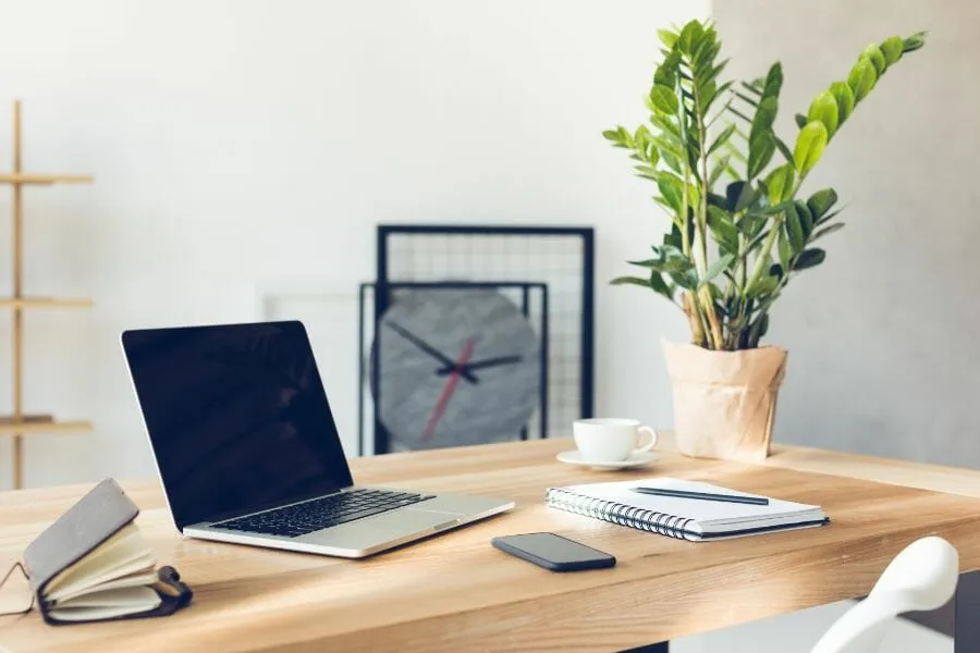 Bureau met plant