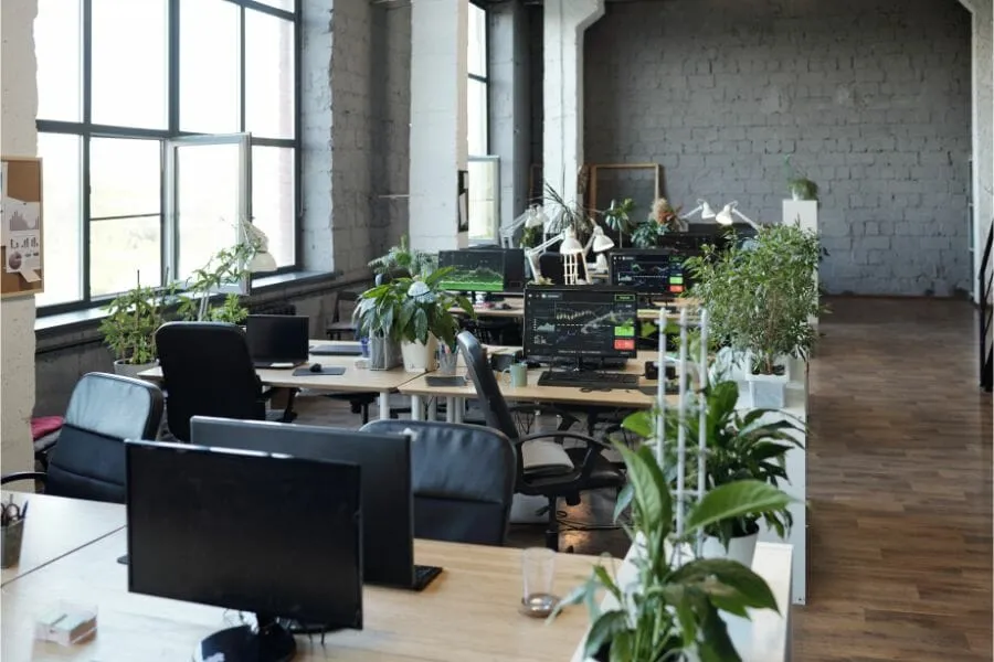 Kantoor opleuken met planten