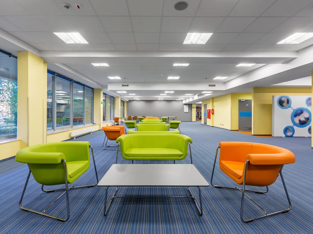 Plafond isoleren tegen geluid: complete gids