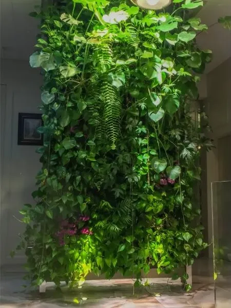 Planten afscheiding kantoor
