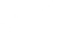 Beer & Selected Beverages
